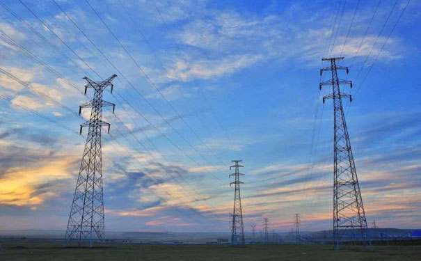 電網